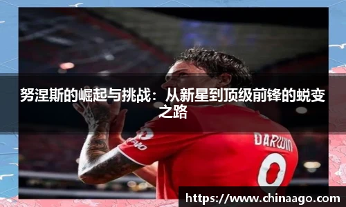 努涅斯的崛起与挑战：从新星到顶级前锋的蜕变之路