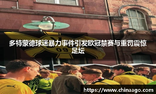 多特蒙德球迷暴力事件引发欧冠禁赛与重罚震惊足坛